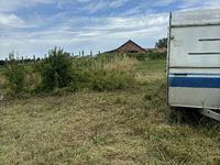 -1053138065034465798